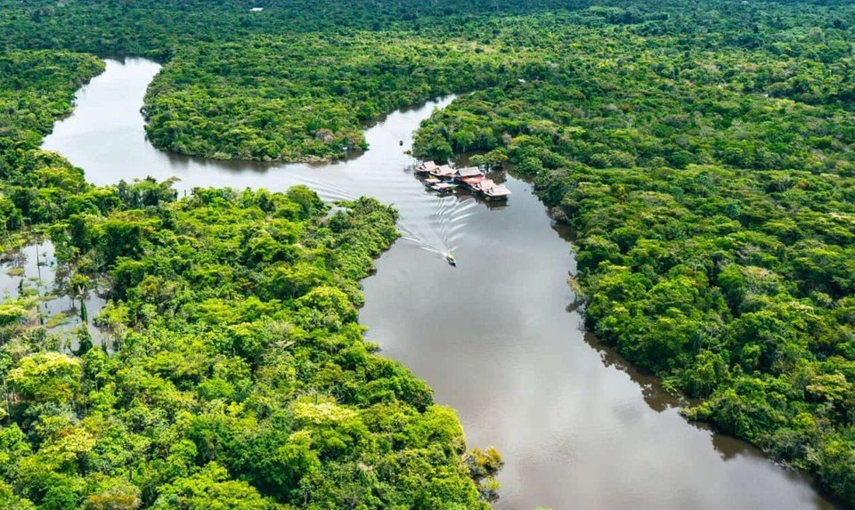 An aerial view of a winding river cutting through dense green rainforest